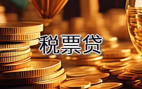 丽江税票贷